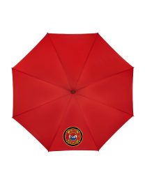 Pocket Umbrella 